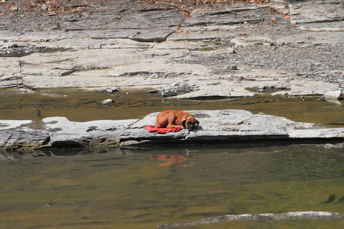 ������� �� �������� � ����� ����� Naum Likholat �� PhotoGeek.ru #�������� ���