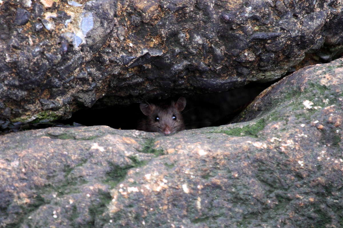 ��� � ����� - ������ ����� Naum Likholat �� PhotoGeek.ru #�������� ���