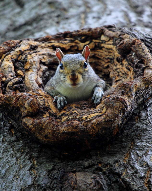 ���, ��� � ��������� ���� ����� Naum Likholat �� PhotoGeek.ru #�������� ���