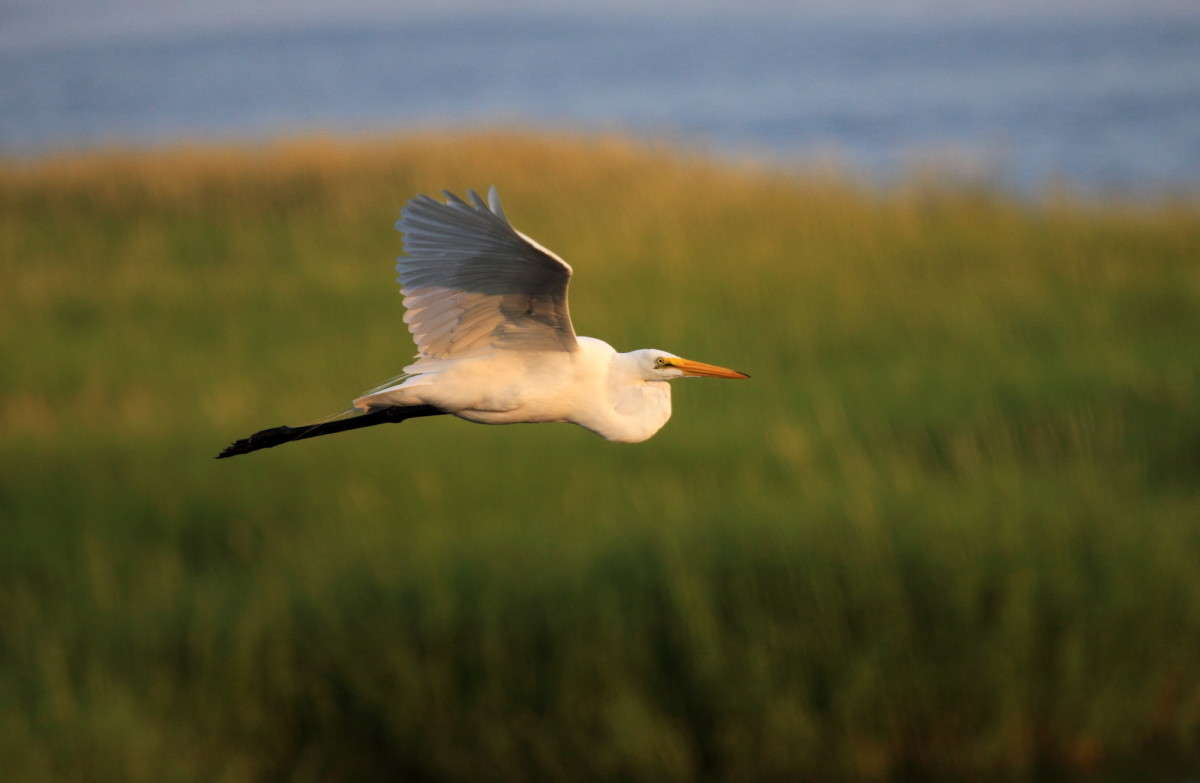 ... ����� Naum Likholat �� PhotoGeek.ru #�������� ���