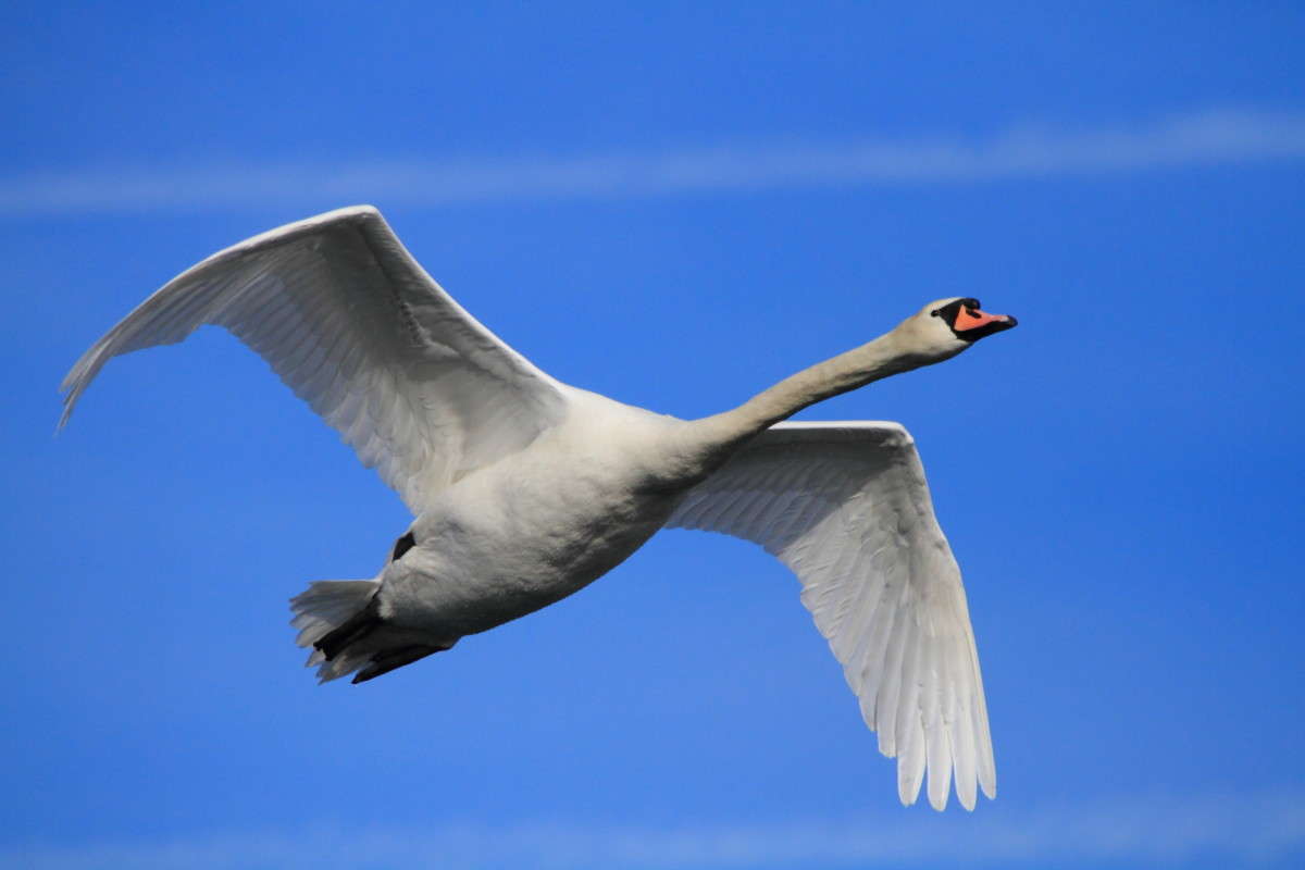 ... ����� Naum Likholat �� PhotoGeek.ru #�������� ���