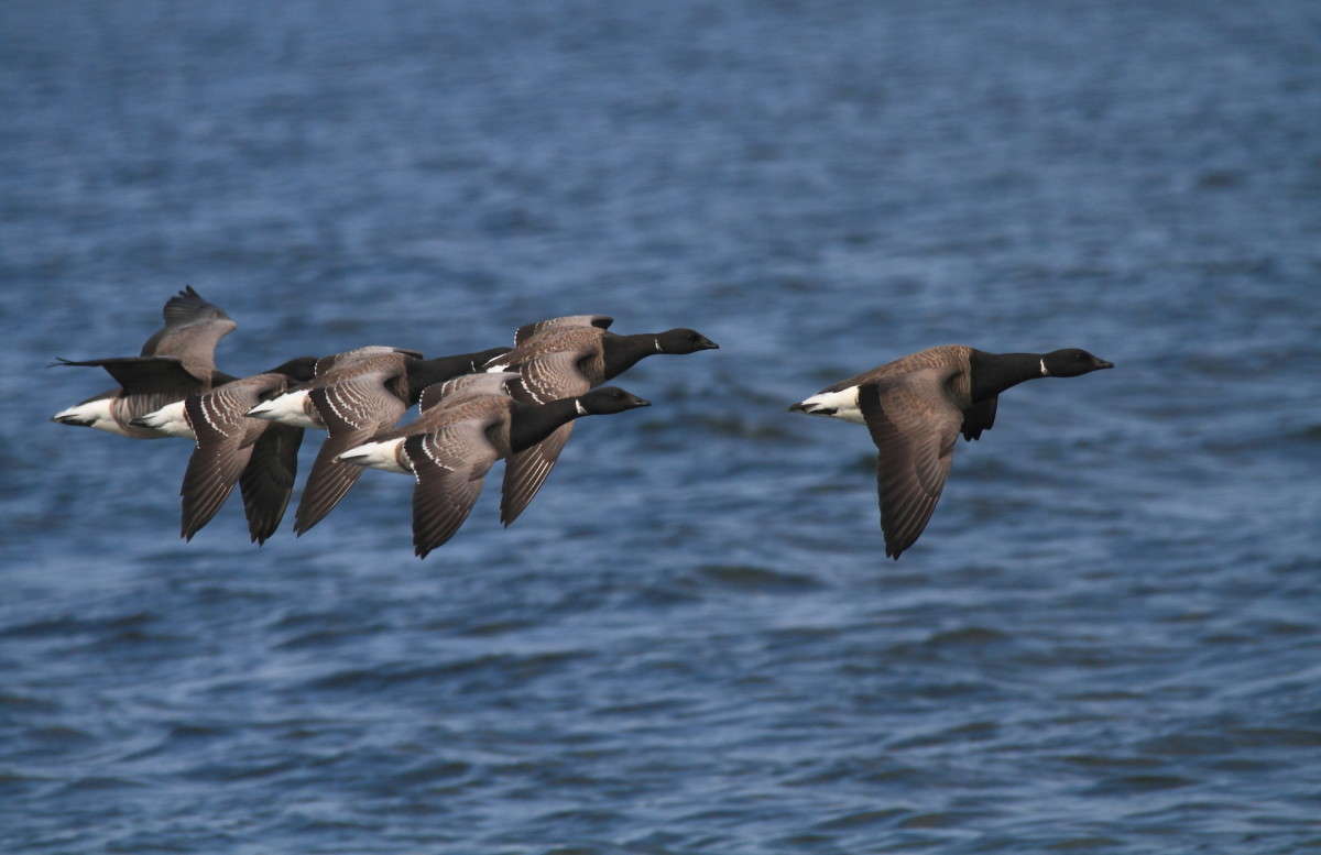 ... ����� Naum Likholat �� PhotoGeek.ru #�������� ���