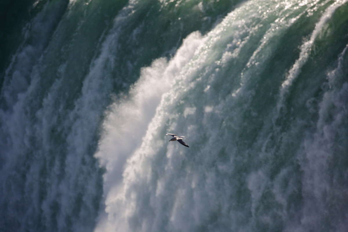 Niagara Falls 2 ����� Naum Likholat �� PhotoGeek.ru #������ ��� �������