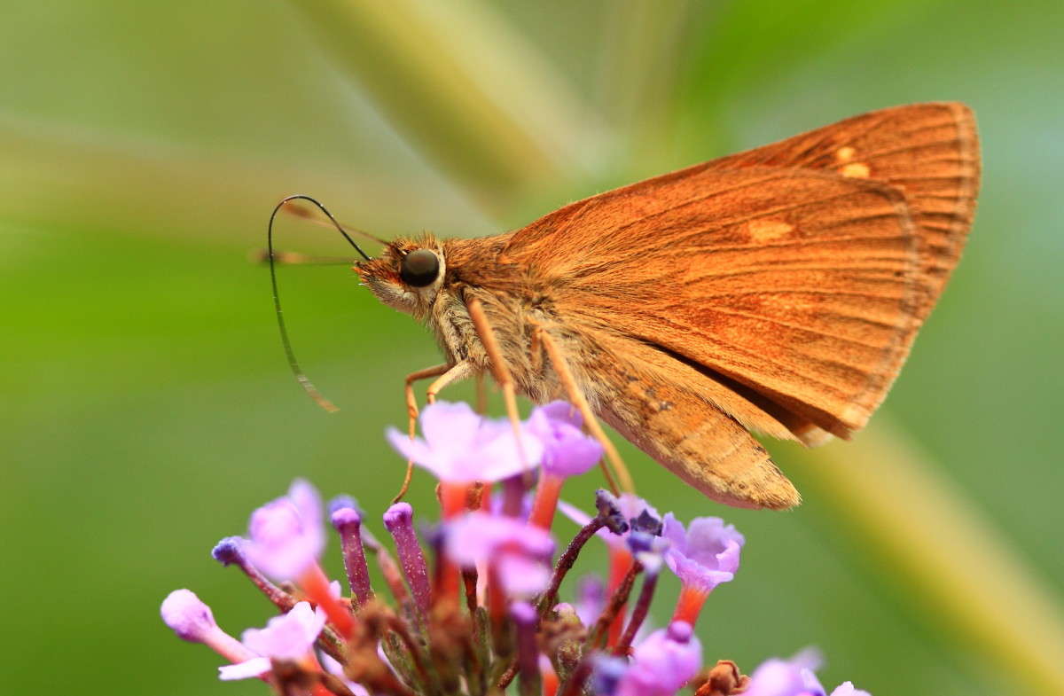 ... ����� Naum Likholat �� PhotoGeek.ru #�������� ���