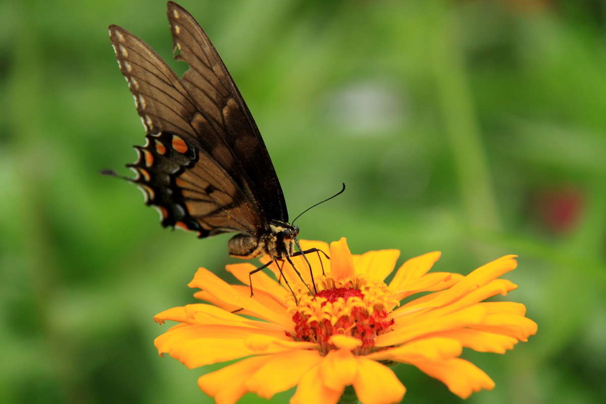 ... ����� Naum Likholat �� PhotoGeek.ru #�������� ���