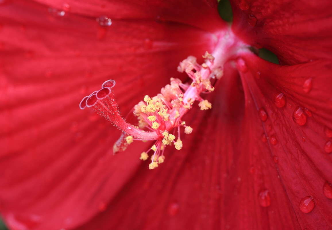 ... ����� Naum Likholat �� PhotoGeek.ru #�����