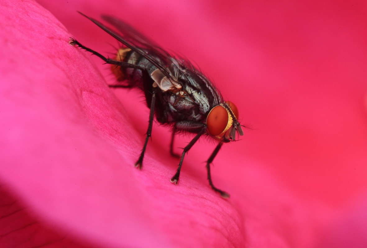 ... ����� Naum Likholat �� PhotoGeek.ru #�����