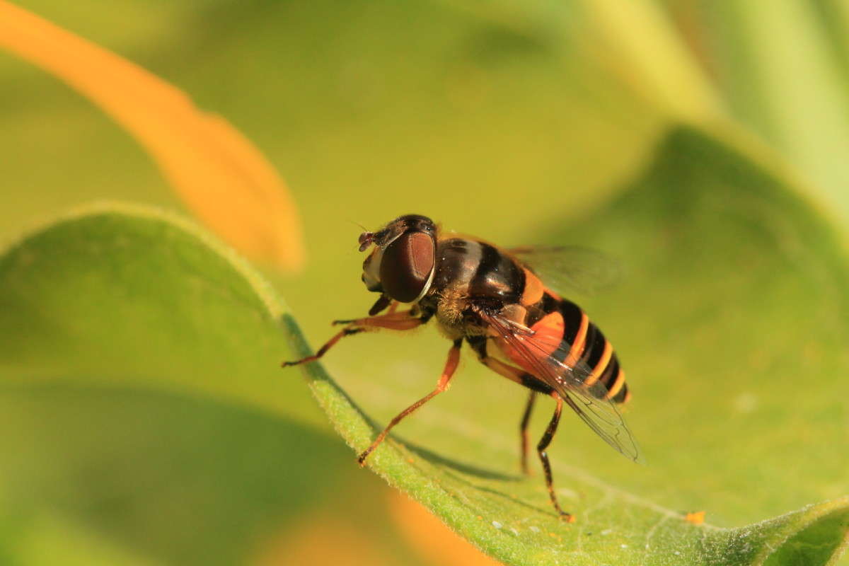 ... ����� Naum Likholat �� PhotoGeek.ru #�������� ���