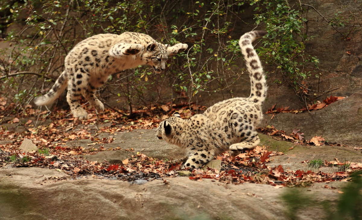 ... ����� Naum Likholat �� PhotoGeek.ru #�������� ���