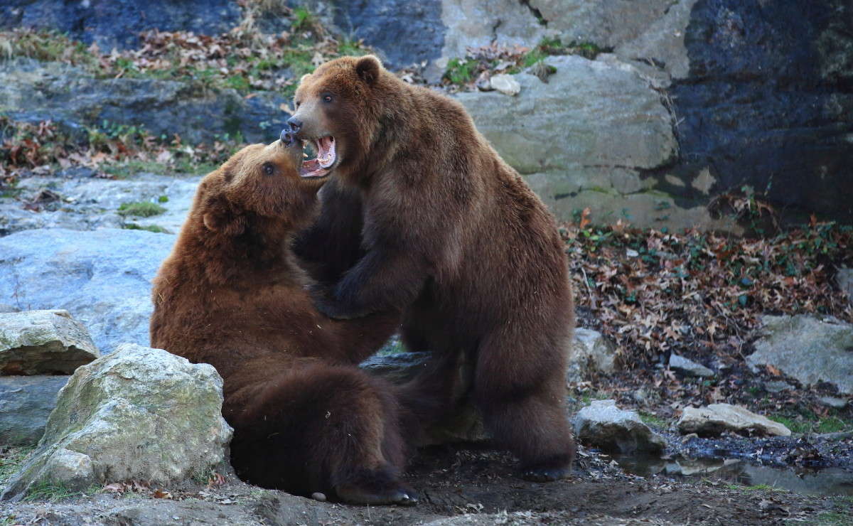 ... ����� Naum Likholat �� PhotoGeek.ru #�������� ���