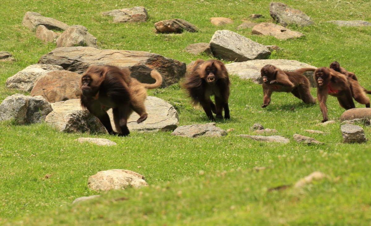 ... ����� Naum Likholat �� PhotoGeek.ru #�������� ���