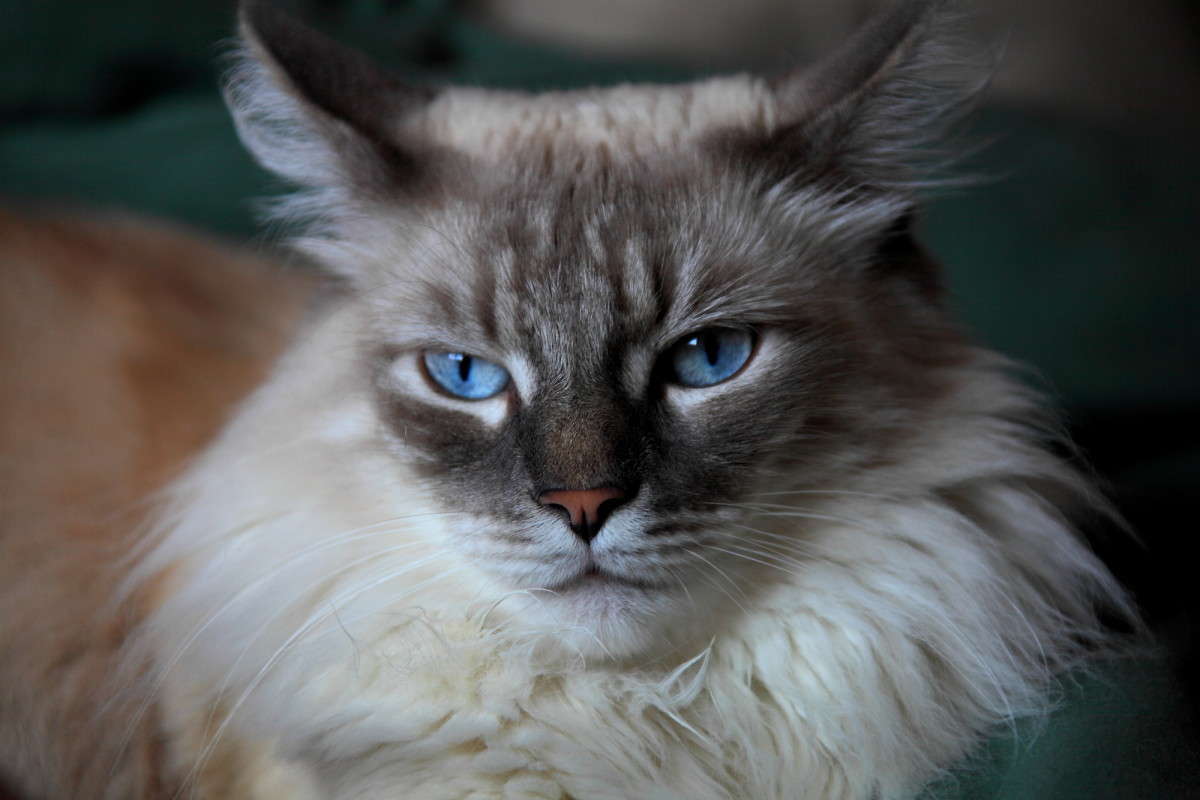 ��� ������, ��� �����, ��� �������, ��� �������� ����� Naum Likholat �� PhotoGeek.ru #�������� ���