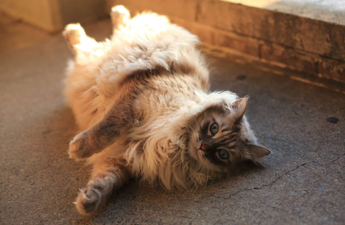 ��� ������, ��� �����, ��� �������, ��� �������� 2 ����� Naum Likholat �� PhotoGeek.ru #�������� ���