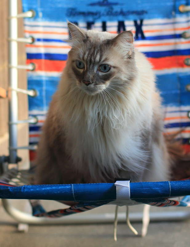 ��� ������, ��� �����, ��� �������, ��� �������� 3 ����� Naum Likholat �� PhotoGeek.ru #�������� ���