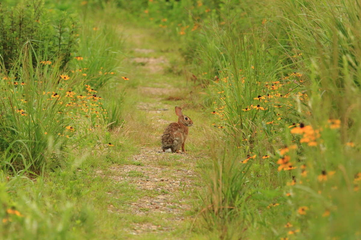 ... ����� Naum Likholat �� PhotoGeek.ru #�������� ���