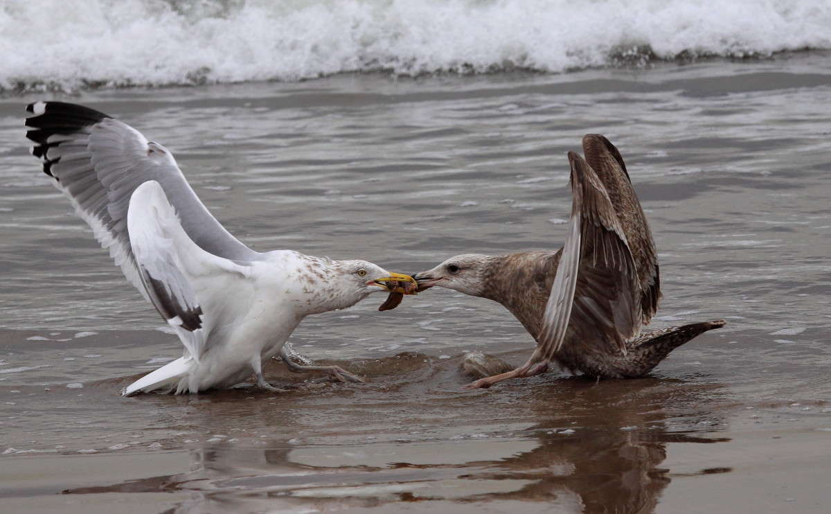 ������ �� ������� ������ ����� Naum Likholat �� PhotoGeek.ru #�������� ���