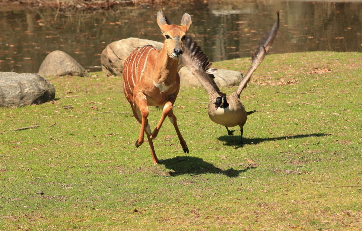 � ������ ����� ��� ������........ ����� Naum Likholat �� PhotoGeek.ru #�������� ���