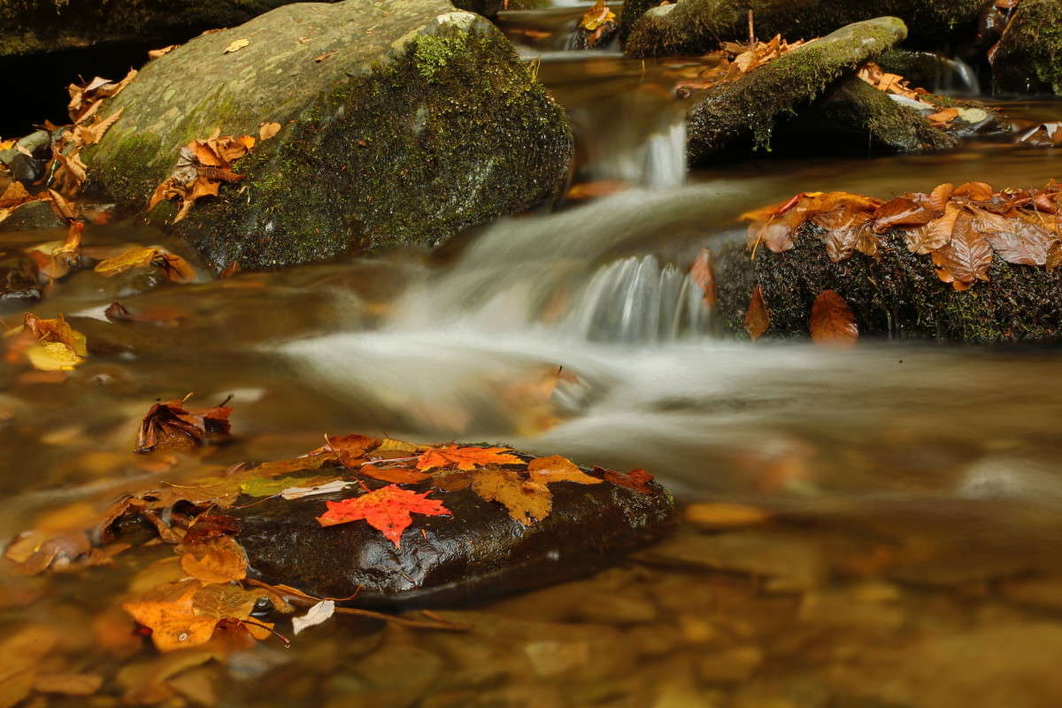 ������ ����� ����� Naum Likholat �� PhotoGeek.ru #������ ��� �������