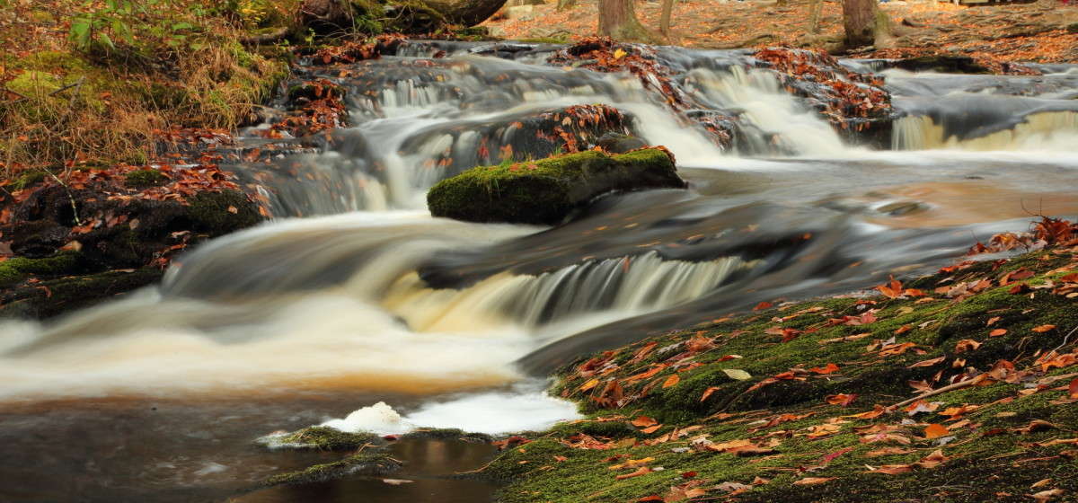 ������ ����� 3 ����� Naum Likholat �� PhotoGeek.ru #������ ��� �������