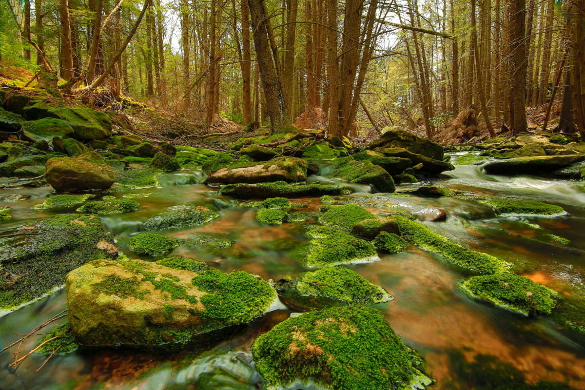 ������ ����� 4 ����� Naum Likholat �� PhotoGeek.ru #������ ��� �������