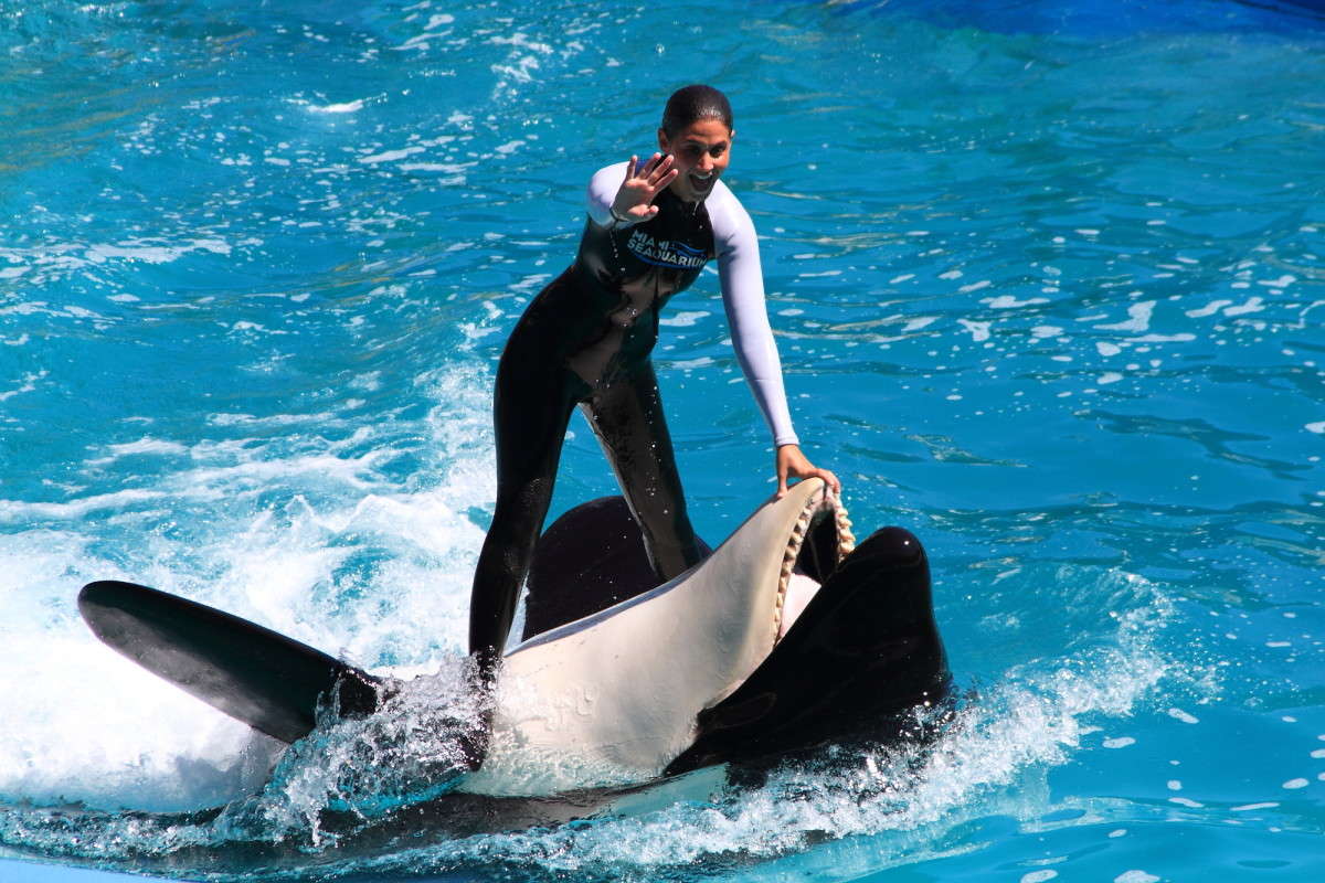 Miami �������� ����� Naum Likholat �� PhotoGeek.ru #�������� ���