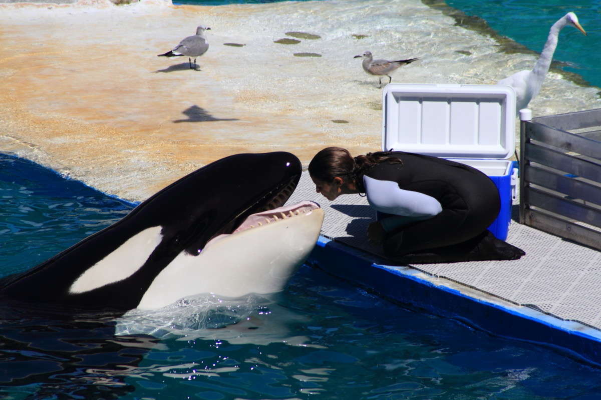 Miami �������� ����� Naum Likholat �� PhotoGeek.ru #�������� ���