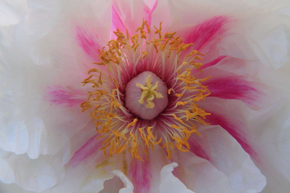 ... ����� Naum Likholat �� PhotoGeek.ru #������ ��� �������