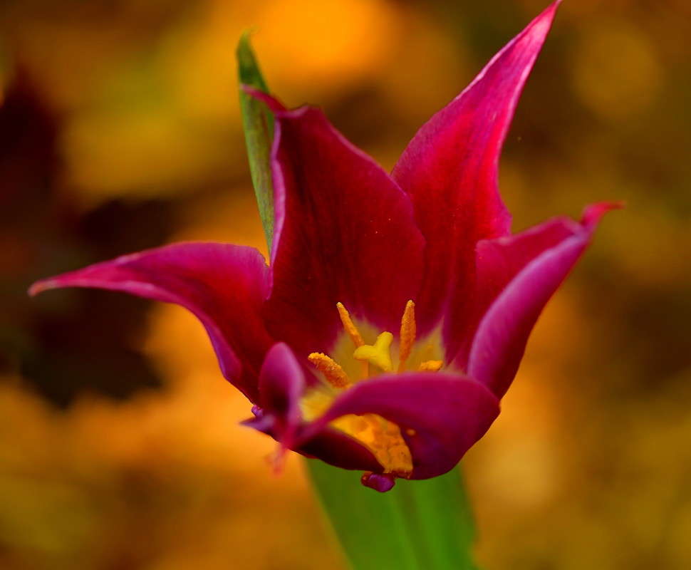 ... ����� Naum Likholat �� PhotoGeek.ru #������ ��� �������