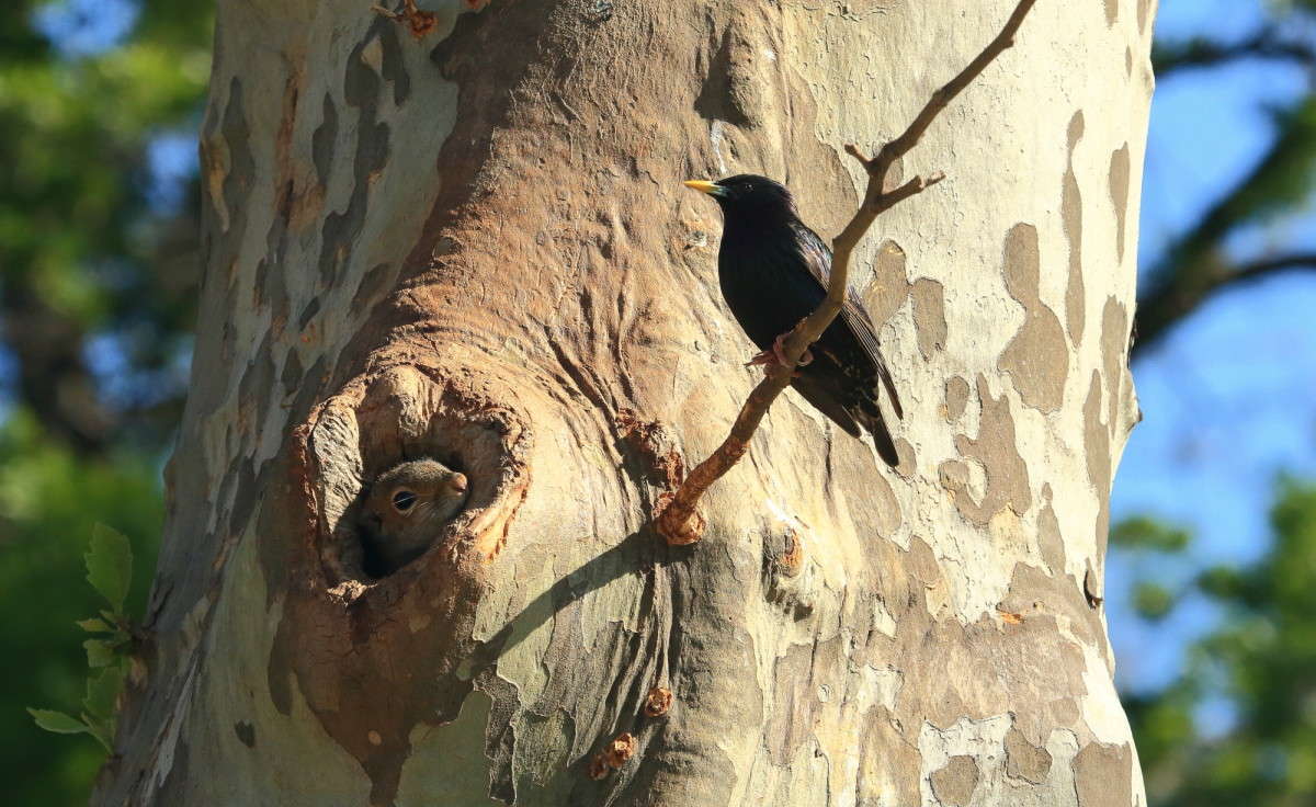 �� ��� ? ����� Naum Likholat �� PhotoGeek.ru #�������� ���