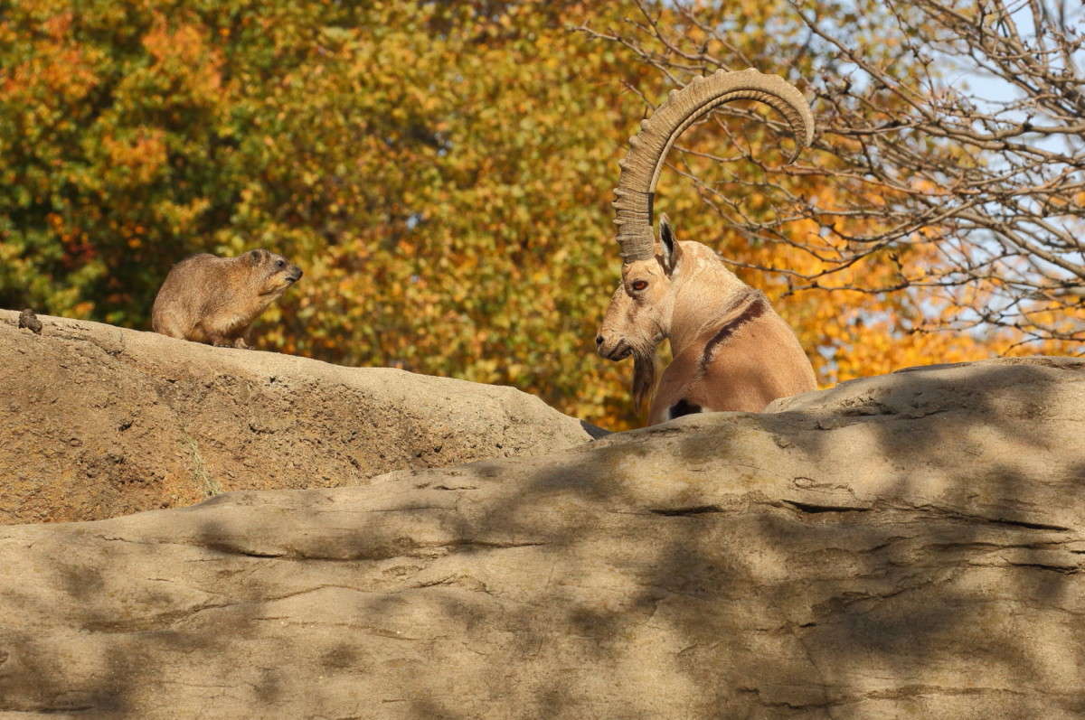 �� ��� ? ����� Naum Likholat �� PhotoGeek.ru #�������� ���