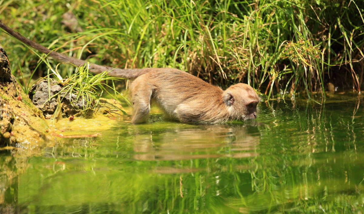 ... ����� Naum Likholat �� PhotoGeek.ru #�������� ���