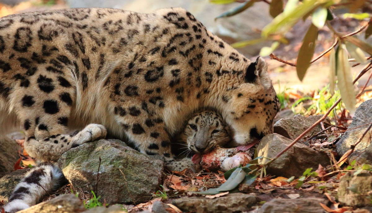 ... ����� Naum Likholat �� PhotoGeek.ru #�������� ���