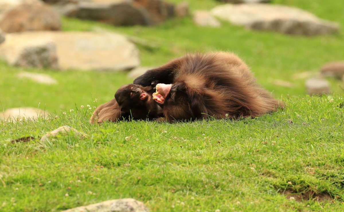 ... ����� Naum Likholat �� PhotoGeek.ru #�������� ���