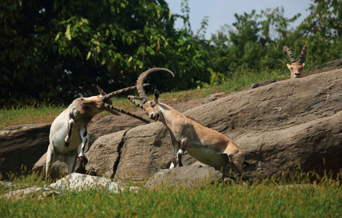 ... ����� Naum Likholat �� PhotoGeek.ru #�������� ���