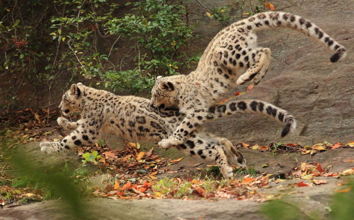 ... ����� Naum Likholat �� PhotoGeek.ru #�������� ���