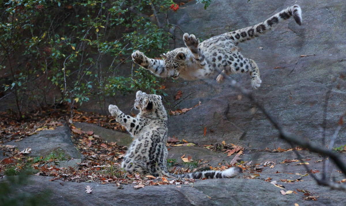 ... ����� Naum Likholat �� PhotoGeek.ru #�������� ���