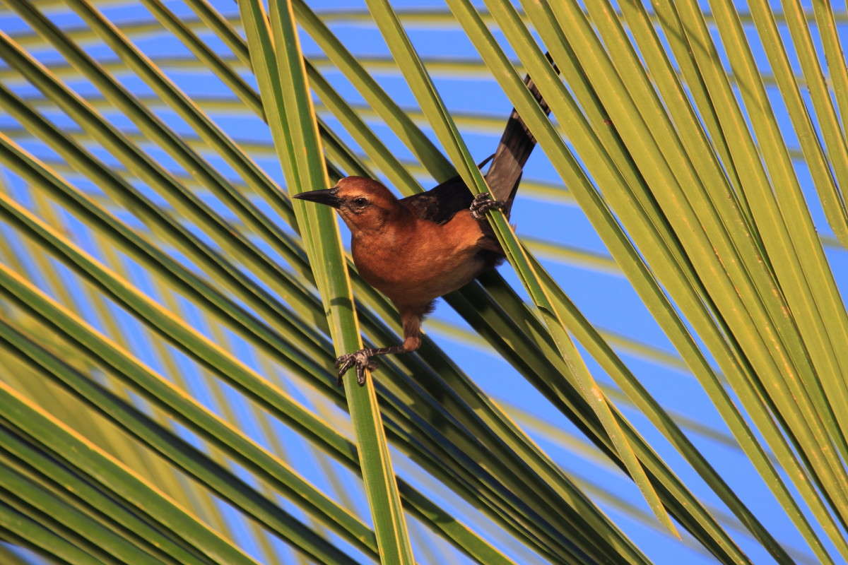 ... ����� Naum Likholat �� PhotoGeek.ru #�������� ���