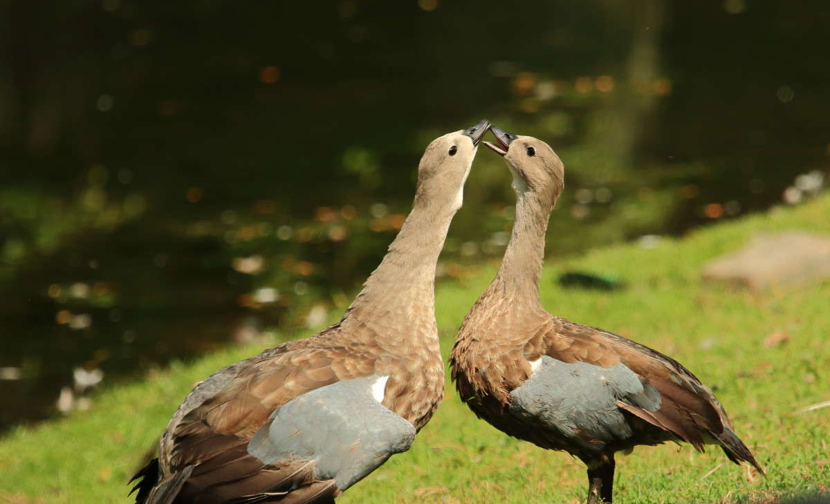 ��������� ������ 2 ����� Naum Likholat �� PhotoGeek.ru #�������� ���