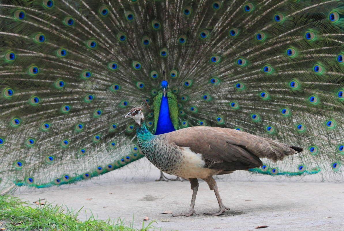 ��������� ������ 4 ����� Naum Likholat �� PhotoGeek.ru #�������� ���