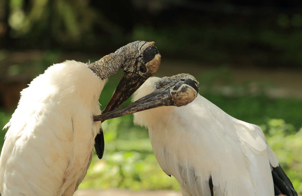 ��������� ������ 7 ����� Naum Likholat �� PhotoGeek.ru #�������� ���