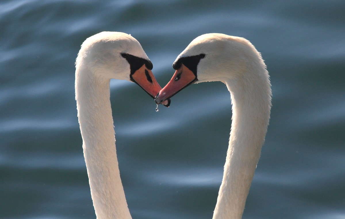 ��������� ������ 8 ����� Naum Likholat �� PhotoGeek.ru #�������� ���