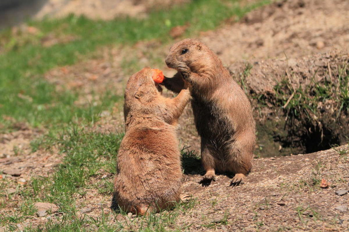 ��������� ������ 9 ����� Naum Likholat �� PhotoGeek.ru #�������� ���