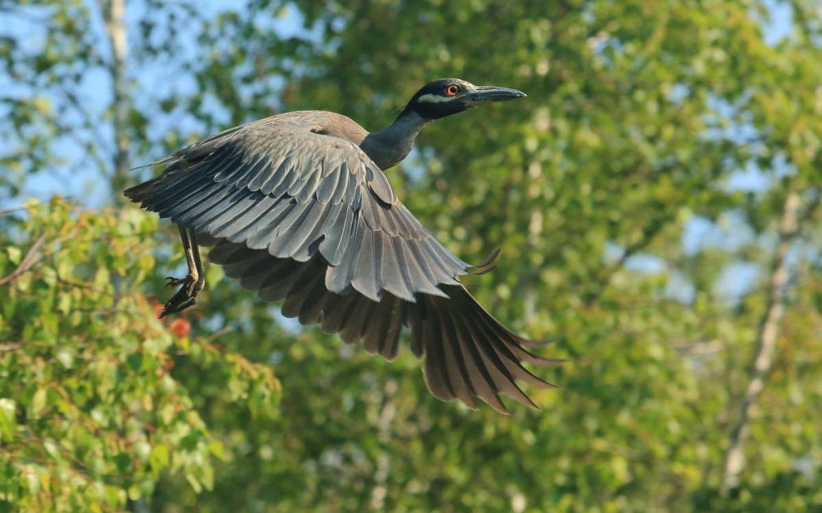 ������ � ����� 5 ����� Naum Likholat �� PhotoGeek.ru #�������� ���