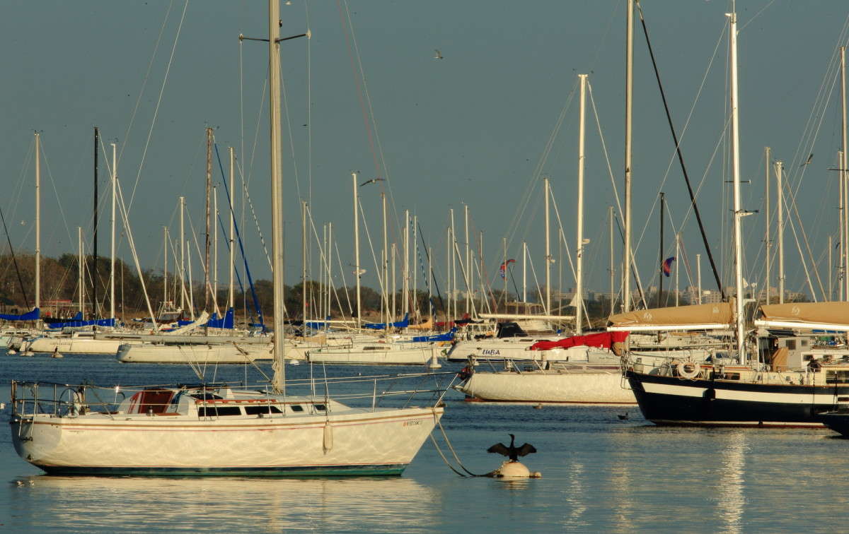 ... ����� Naum Likholat �� PhotoGeek.ru #������ ��� �������