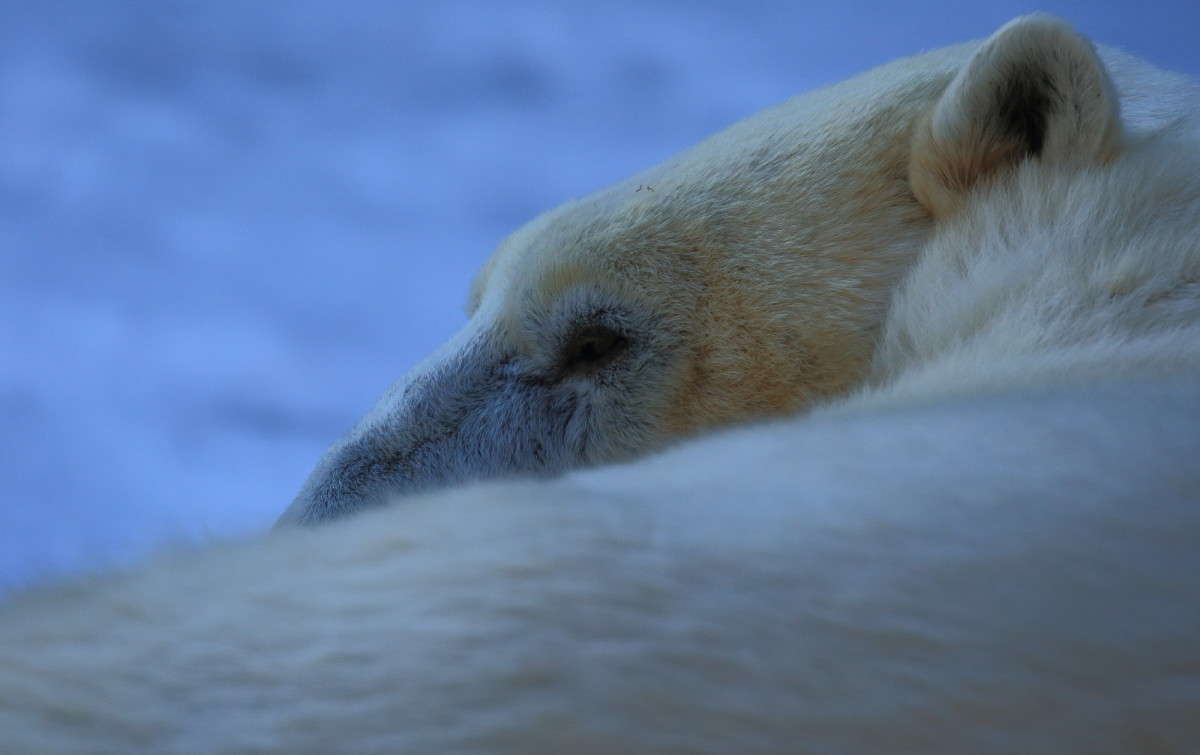 ... ����� Naum Likholat �� PhotoGeek.ru #�������� ���