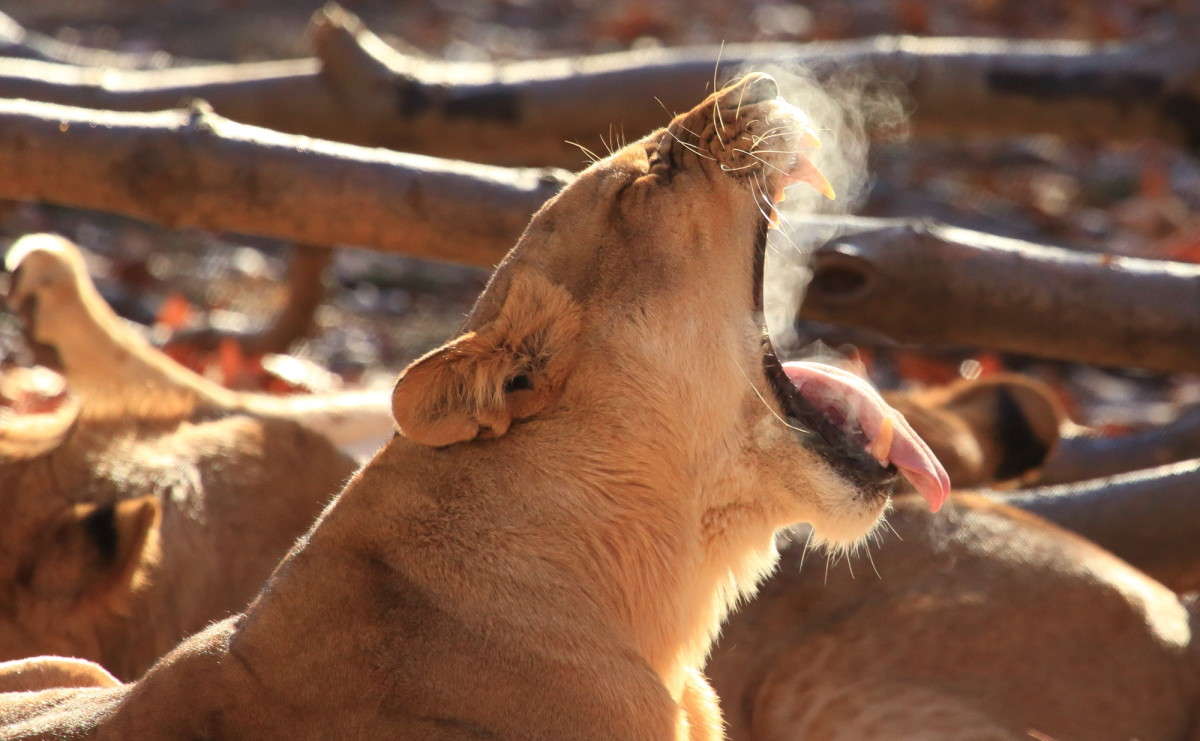 ... ����� Naum Likholat �� PhotoGeek.ru #�������� ���