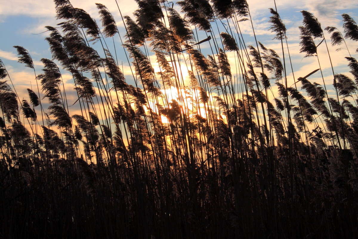 ... ����� Naum Likholat �� PhotoGeek.ru #������ ��� �������