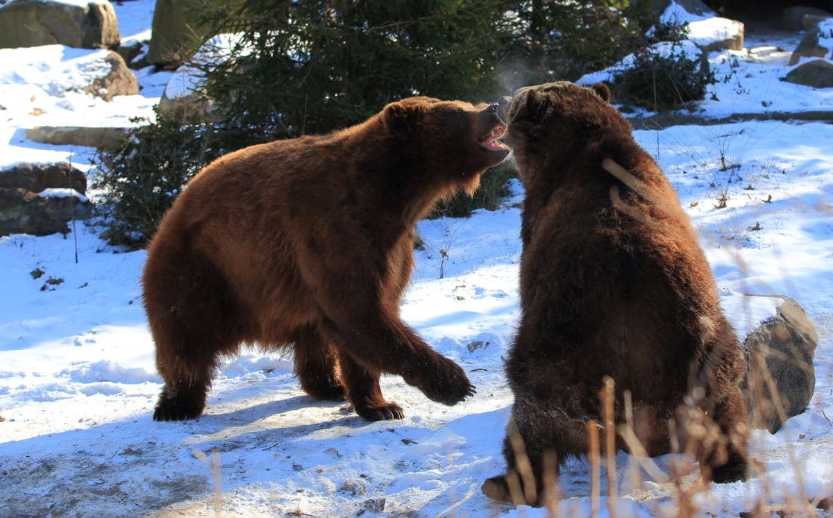 ... ����� Naum Likholat �� PhotoGeek.ru #�������� ���