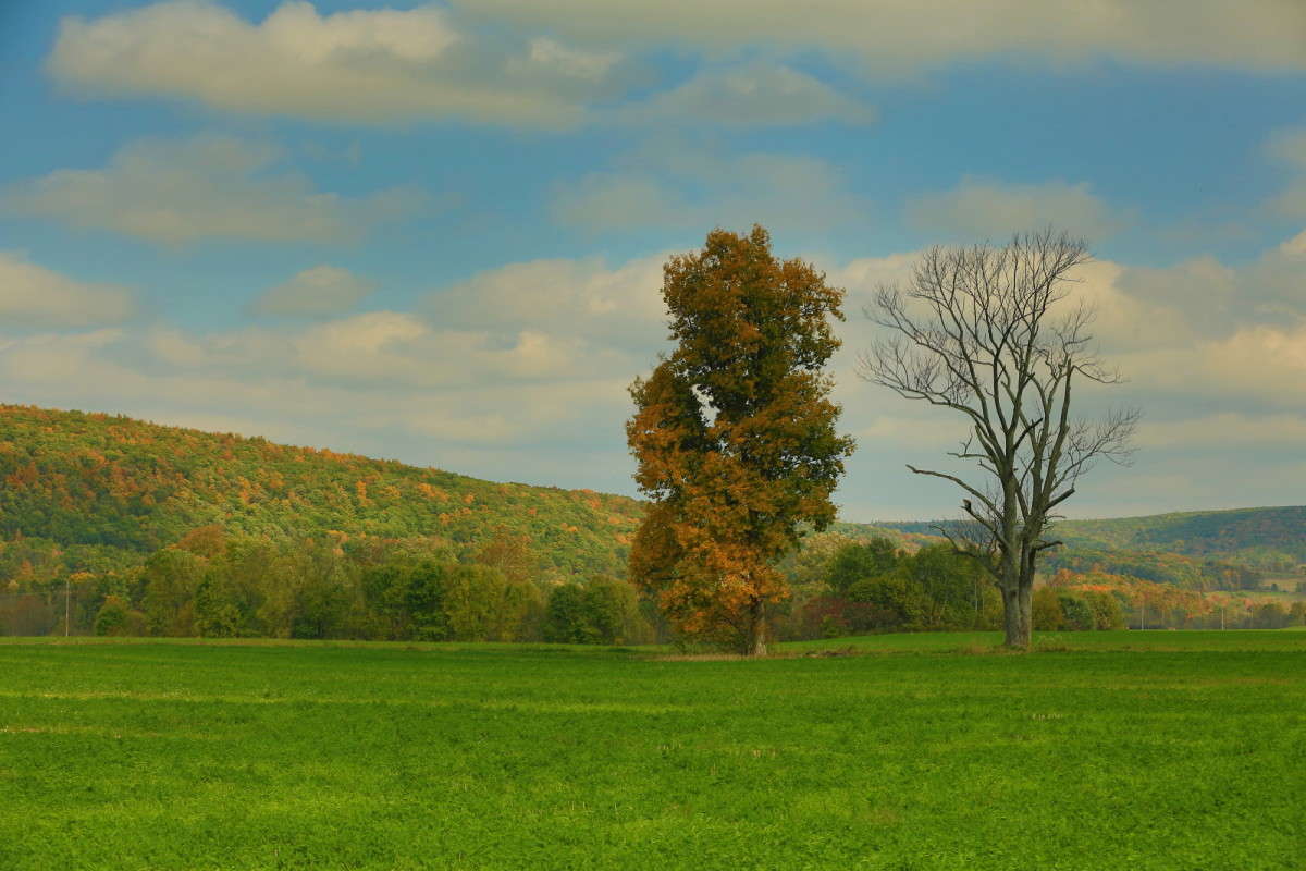 ... ����� Naum Likholat �� PhotoGeek.ru #������ ��� �������