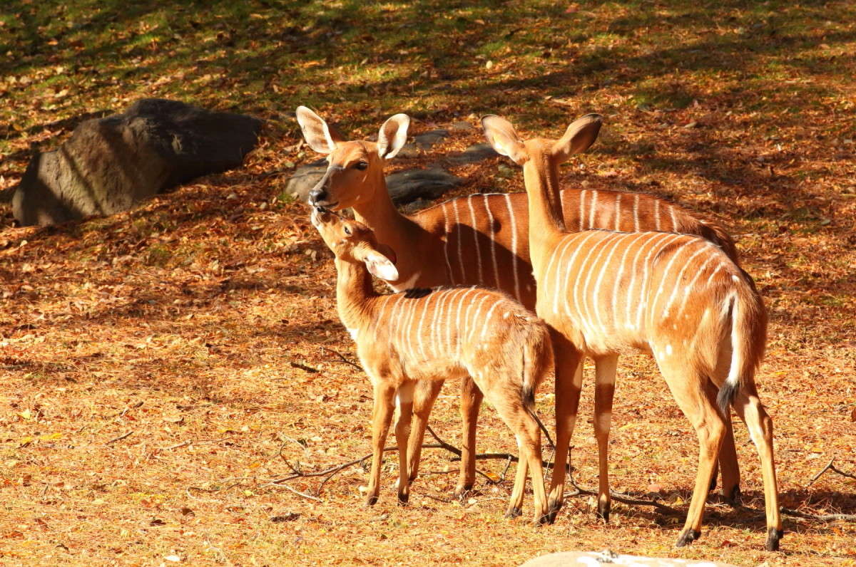 ��������� ������ ����� Naum Likholat �� PhotoGeek.ru #�������� ���